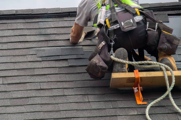 Best Roof Gutter Cleaning  in Hahira, GA